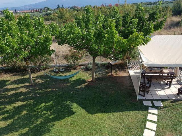 Plaka Luxury Villa リトコロン エクステリア 写真