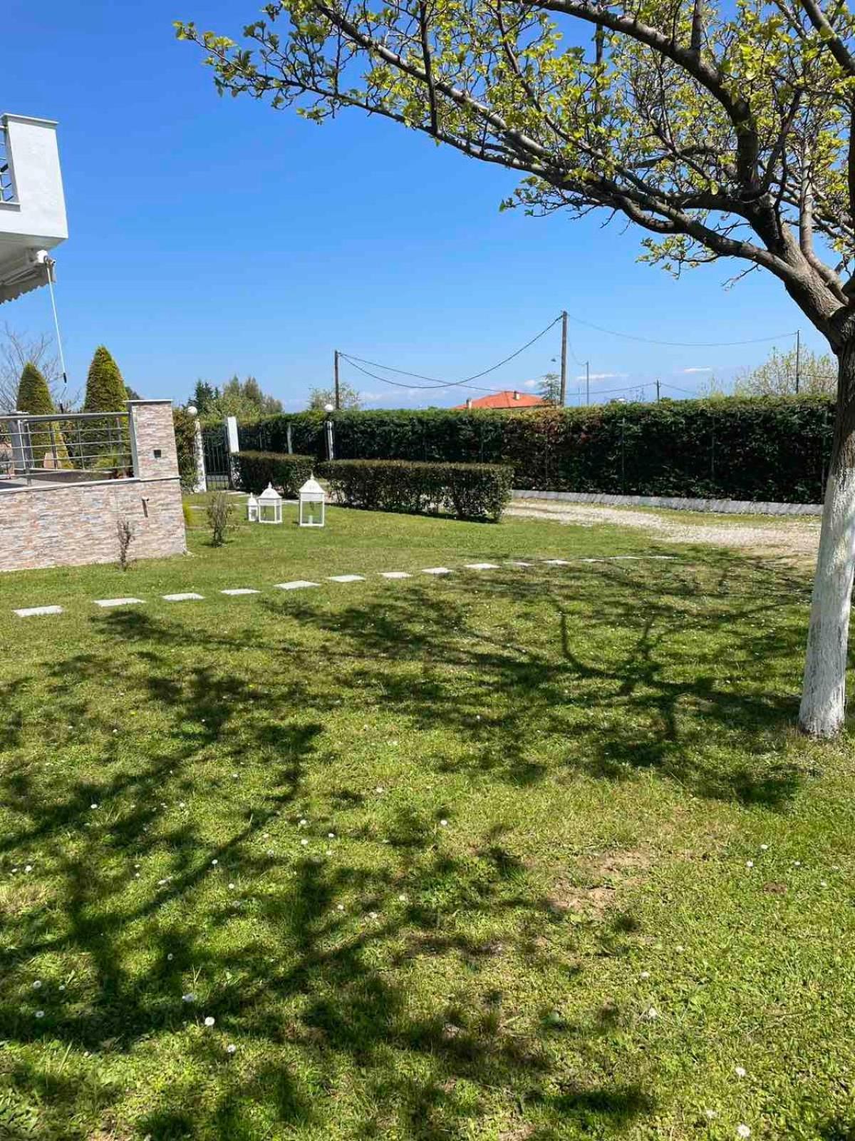 Plaka Luxury Villa リトコロン エクステリア 写真
